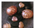 209932_3 thumbnail image