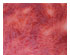 209971_1 thumbnail image