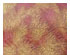 209972_2 thumbnail image