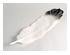 210876_6 thumbnail image
