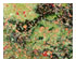211779_1 thumbnail image