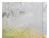 212188_2 thumbnail image