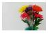 212196_5 thumbnail image