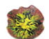 212503_3 thumbnail image