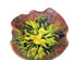 212504_3 thumbnail image