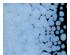 212706_5 thumbnail image