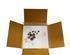 212773_7 thumbnail image