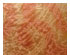 212818_1 thumbnail image