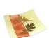 212818_5 thumbnail image