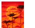 212829_5 thumbnail image