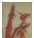 212891_3 thumbnail image