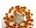 213273_1 thumbnail image