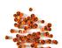 213273_2 thumbnail image