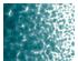 213333_1 thumbnail image