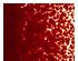 213352_1 thumbnail image