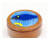 213628_1 thumbnail image