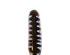 213761_1 thumbnail image
