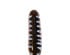213782_1 thumbnail image