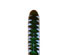 213789_1 thumbnail image