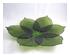 214075_7 thumbnail image
