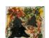 214104_4 thumbnail image