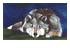 214690_7 thumbnail image