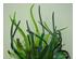 214746_4 thumbnail image