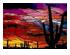 215281_4 thumbnail image