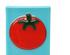 215444_1 thumbnail image