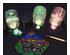 215460_2 thumbnail image