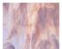 215738_2 thumbnail image