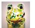 215937_2 thumbnail image