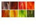 216083_2 thumbnail image