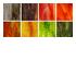 216083_8 thumbnail image