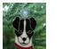 216449_1 thumbnail image