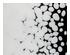216973_1 thumbnail image