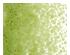 216975_1 thumbnail image