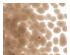 216978_1 thumbnail image