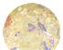 216996_7 thumbnail image