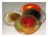 217360_5 thumbnail image