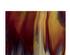 217514_2 thumbnail image