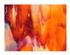 217514_3 thumbnail image