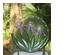 217848_4 thumbnail image