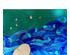 217936_5 thumbnail image