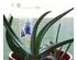 217937_7 thumbnail image