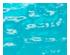 218104_2 thumbnail image