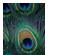 218104_3 thumbnail image