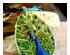 218510_3 thumbnail image