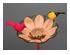 218589_2 thumbnail image
