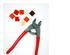 218855_2 thumbnail image
